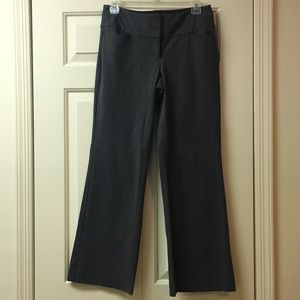 Express Gray Editor Pant